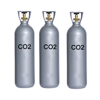 Prix bas, pureté de 99,999 %, gaz CO2 de qualité alimentaire, gaz liquide de dioxyde de carbone, réservoir de 40 L, 50 L, cartouche de CO2