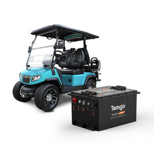 Maßgefertigter Lifepo4 Golfwagen Lithium-Akku 48V 100Ah 105Ah Lifepo4 Batteriepack für Golfwagen - Product Image 1