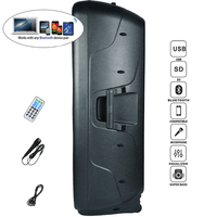 Système de haut-parleurs PA 1000W avec deux woofers de 15 pouces, ensembles de karaoké, boîte à son, audio professionnel TWS, LED, FM, AUX, ECHO, Bocina Parlante