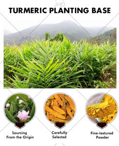 संयुक्त राज्य अमेरिका के गोदाम उच्च गुणवत्ता वाले प्राकृतिक पानी में घुलनशील कार्बनिक हल्दी जड़ निकालने 95% लिए 5% - Product Image 3