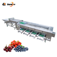Nettoyeur d'olives 1000 kg/h, trieuse de dattes, machine à laver les fruits à vortex, machine d'emballage en boîte en plastique, ligne de nettoyage et de polissage des fruits