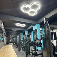 SUEZ éclairage décoratif éclairage de garage lampe suspendue à led pour garage