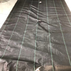 Toile de <span class=keywords><strong>paillage</strong></span> écologique en polypropylène de qualité supérieure HOLD, barrière tissée <span class=keywords><strong>pour</strong></span> le contrôle des mauvaises herbes, <span class=keywords><strong>pour</strong></span> jardin, agriculture, aménagement paysager, rouleau de tapis - Product Image 2