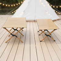 Table de camping pliable légère et portable en acier inoxydable, table de pique-nique pliable pour l'extérieur