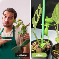 Support de plante en plastique léger et durable pour tomates, accessoires de jardinage, pots de jardin d'intérieur, jardinières, vignes