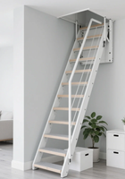 Échelle de levage d'escalier de grenier extensible invisible en métal à rétraction manuelle Conception pliante intérieure et extérieure