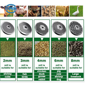 Nouveau moulin à granulés de moteur Diesel en acier inoxydable pour la volaille et le poulet alimentent le moteur de granulateur animal 220V comme composant de base - Product Image 6