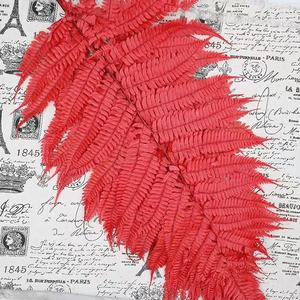 Decorazione per la casa in stile nordico foglia di felce conservata usata san valentino e decorazione di nozze - Product Image 5