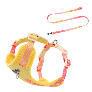 Yeni Dolgulu Polyester Evcil Hayvan Tasması Seti Moda Spor Tarzı Açık Hava Nefes Alabilen Ayarlanabilir Yavru Köpek ve Kedi Tasması - Product Image 6