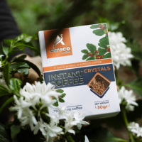 Café instantané personnalisé OEM/ODM Robusta 1 en 1-30g (3g x 10 sachets) Café instantané de qualité supérieure 100% FINE ROBUSTA lyophilisé