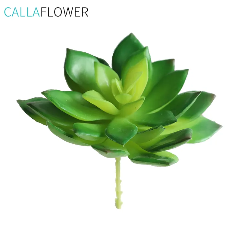 Mini yapay saksı etli bitkiler Lotus çiçeklik/kaynaklanıyor/seçtikleri