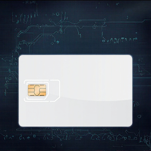 <span class=keywords><strong>PANZ</strong></span> Zahlungs-RFID PVC Blanko-Kontakt-IC-Smartcards mit 4428/Classic 1K Chips Wasserdicht & Wetterfest - Product Image 2