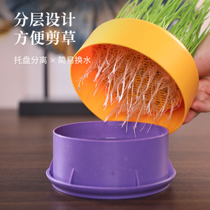 Maceta de diseño original para hierba gatera, caja de cultivo hidropónico para hierba gatera, semillas de hierba gatera, remedio para bolas de pelo de gato, fábrica de artículos para mascotas - Product Image 4