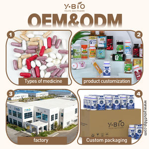 Takip Edilebilir Glukozamin Kondroitin MSM Tabletleri |   Premium Sınıf Eklem Sağlığı Bakımı - Product Image 4