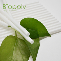 Pailles droites jetables biodégradables en PLA, écologiques, surface lisse, pour smoothies, sodas, milkshakes, fournitures de restauration pour fêtes