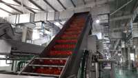 Complete Aangepaste Groente-En Fruitverwerkingslijn Tomatensap/Saus/Pulpproductie-Installatie Omate/Tomat-Verwerkingsmachine