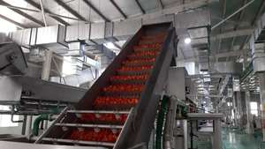 Hoàn Chỉnh Tùy Chỉnh Rau Và Trái Cây Dây Chuyền Chế Biến Nước Ép Cà Chua/Nước Sốt/Bột Giấy Nhà Máy Sản Xuất omate/Tomat Máy Chế Biến - Product Image 3