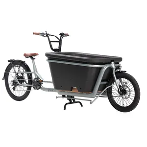 Vélo cargo électrique hybride sport en alliage d'aluminium pour transport urbain avec famille