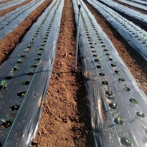 1.2m 1x10m nhiệm vụ nặng nề che phủ <span class=keywords><strong>PP</strong></span> phân hủy sinh học chống cỏ dại kiểm soát Mat rào cản nhựa trắng nông nghiệp chốt móng tay pin - Product Image 3
