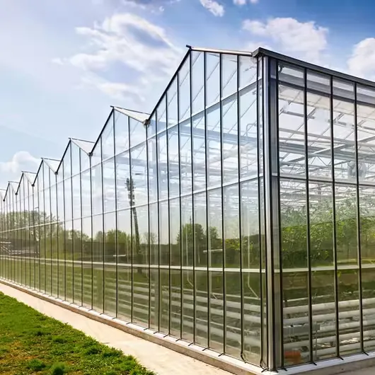 Serre en verre Venlo moderne prix bon marché de concombres de tomates végétales belle et robuste, avec une résistance élevée au vent.