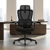 Chaise de bureau ergonomique en maille avec dossier double segmenté, appui-tête réglable, soutien lombaire, accoudoirs inclinables et couleur personnalisable