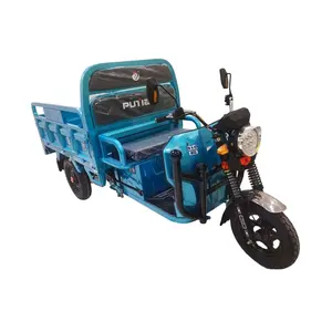PuTian Fast 750 kg chariot de vélo Cargo spécialisé tricycle électrique à trois roues avec expédition bon marché