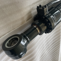 Cylindre hydraulique à double action haute pression pour mini-excavatrice Kubota, pièce 31N6-60110, fournisseur chinois
