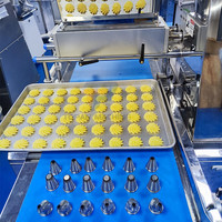 Machine de remplissage automatique de biscuits de petits gâteaux pour le dépôt de gâteau d'éponge