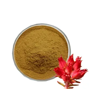 Salidroside Herbal Plants Rhodiola Rosea Extract Powder Rosavins 3% Salidroside 1%