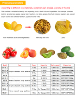 Hete verkoop Mango Puree Extractiemachine Aardbei Ananas Fruitpulp Sapcentrifuge Mango Pulper Industriële Mango Sapcentrifuge Machine