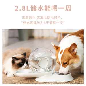 Bebedero para Mascotas Little Snail, Fuente de Agua Automática con Filtro Circulante para Gatos, Forma Redondeada, No Requiere Electricidad - Product Image 5
