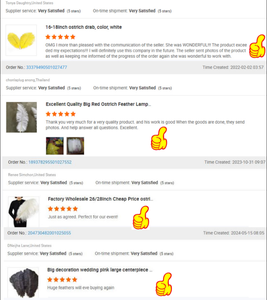 Plumes d'<span class=keywords><strong>autruche</strong></span> largement utilisées pour les centres de table de mariage Plume d'<span class=keywords><strong>autruche</strong></span> naturelle assez moelleuse - Product Image 5