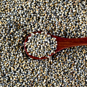 Millet perlé culinaire de qualité supérieure - Product Image 1