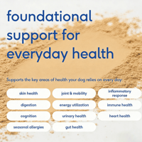 Poudre de multivitamines quotidiennes pour chiens sous marque privée, probiotiques, soutien immunitaire et digestif, supplément naturel pour animaux de compagnie pour toutes les phases de vie