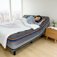Cadre de lit électrique inclinable et réglable King Size moderne pour hôtel et école, avec télécommande multi-modes et moteur allemand silencieux