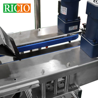 RICIO haute précision PLC contrôle automatique Double têtes plat haut et bas étiqueteuse pour cartes sacs en plastique papier