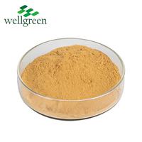 Extrait de feuille organique de graines fermentées, 1 kg, en poudre, Enzyme, fruits, vente en gros, prix naturel de chine