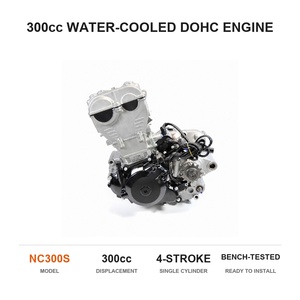 Nuevo Motor de Motocicleta de 300cc, Refrigerado por Agua, DOHC, 4 Tiempos, Monocilíndrico, Encendido CDI, para Motocross Todoterreno - Product Image 2