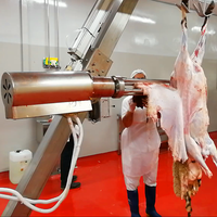 Chaîne d'abattage pour boîtier de mouton, équipement d'abattoir à chèvre, livraison gratuite
