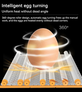 Mạnh mẽ bền kỹ thuật số lồng ấp 500 trứng nở máy tự động lồng ấp trứng cho gà - Product Image 6