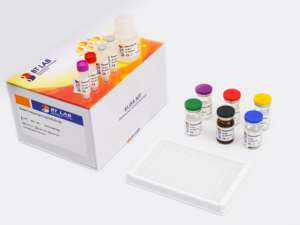 Osteopontina umana E1525Hu, Kit ELISA OPN - Product Image 6
