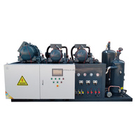 Unité de condensation à vis parallèle avec compresseur double ou quadruple en option, capacité variable, fonctionnement économe en énergie