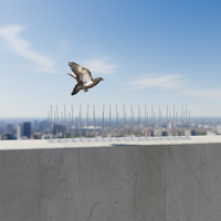 Prix bas, épines anti-pigeons en acier inoxydable sur base en plastique pour éloigner les oiseaux