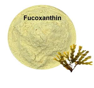Fucoxanthine 10%-98% poudre d'extrait de fucoxanthine fucoceras