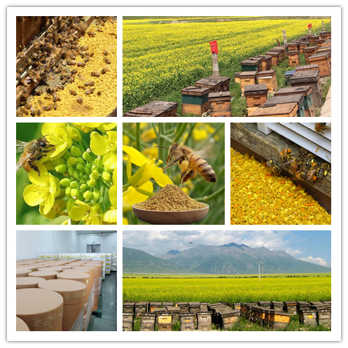 Wholesale 20kg bulk raw pollen mixed bee pollen natural pure wild sunflower