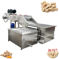 Lonkia Fabriek Aangepaste Productie Industriële Gember Verwerkingslijn Verse Gember Wasmachine