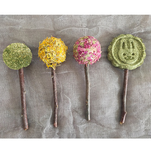Friandises sèches pour lapins, hamsters, cochons d'Inde, Totoro, en forme de pétale, de paille, de <span class=keywords><strong>sucette</strong></span>, de branche de pomme, de gâteau - Product Image 2