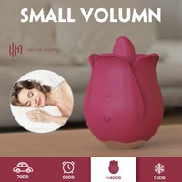 Valentinstag Geschenk Liebhaber Mini Klitoris-Sauger Rosenförmig USB Aufladbar IPX7 Wasserdicht 9 Frequenzen Vibrator Rot