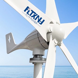 พัดลมกังหันลมแบบแนวนอนขนาดเล็ก 12/24/48v สำหรับใช้ในบ้าน 1000w 500w Fz 1kwwind Po Fz 1kwwind Fz จากคลังสินค้ายุโรป - Product Image 3