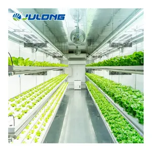 Agricultural Hydroponics Vertical Farming System Leafy Vegetables Container Greenhouse